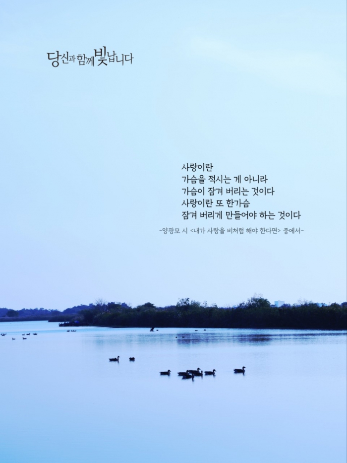 내가 사랑을 비처럼 해야 한다면