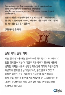 명언과 해설-잘될 거야, 잘될 거야