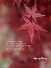 내 마음의 가을