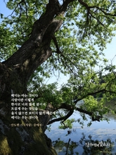 사랑