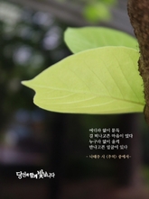 추억