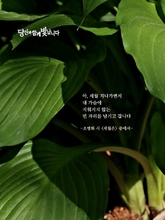 세월은