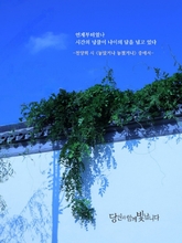 놓았거나 놓쳤거나