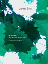 비 그치고