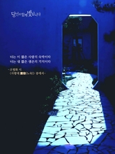 사랑의 노숙