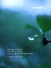 눈물