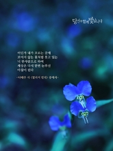 멀리서 빈다
