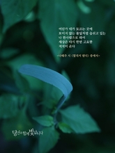 멀리서 빈다