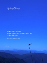 들풀