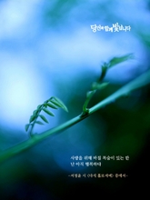 다시 홀로서며