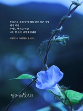 나팔꽃