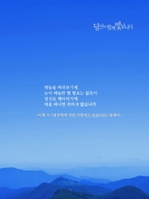 당신에게 이런 사랑이고...