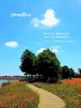 너에게 꽃이다