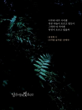 초여름 숲처럼