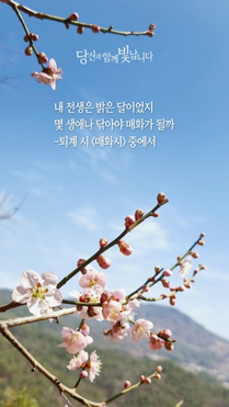 매화시